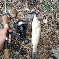 ノーシンカーリグ